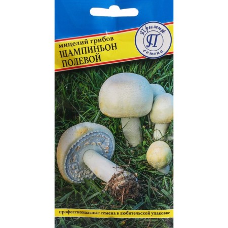 Mycelium champignon "Field", 60 ml