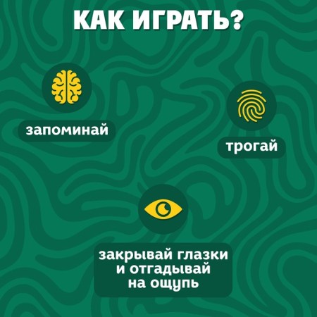 Developing set "Forest animals", tactile cards-2