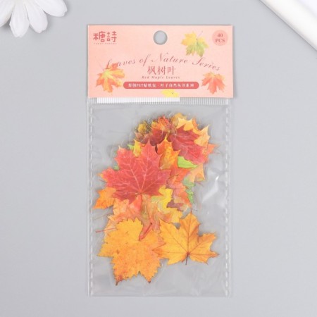 Stickers for creativity plastic "Maple leaves" set 40 pcs 0.3x8x14.8 cm-3