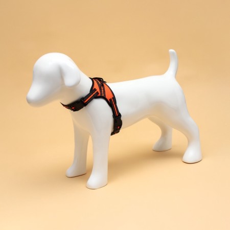 Cloll improved K7 soft reflective, size S, OG 44-55 cm, weight 5-9 kg, orange-1