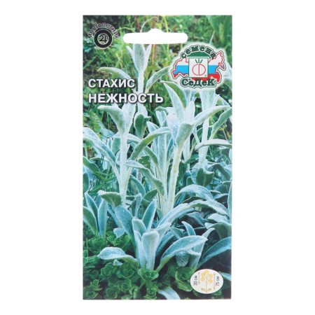 Stachis flowers "tenderness", 0.1 g