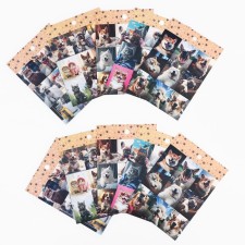 A set of paper stickers 