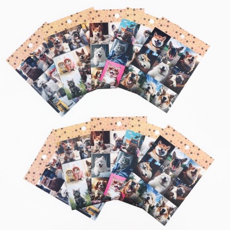 A set of paper stickers "Kotops", 10 pieces, 11 x 15.5 cm