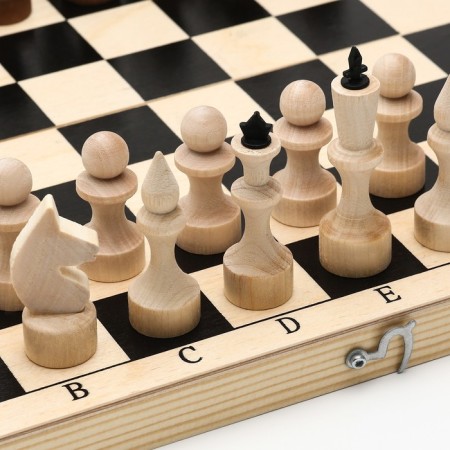 Wooden chess everyday 29.8 x 29.8 cm, King H-7.2 cm, Pig H-4.5 cm-3