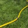 The coupling is connective, for hoses 1/2 "(12 mm), a cane connection, brass, Greengo