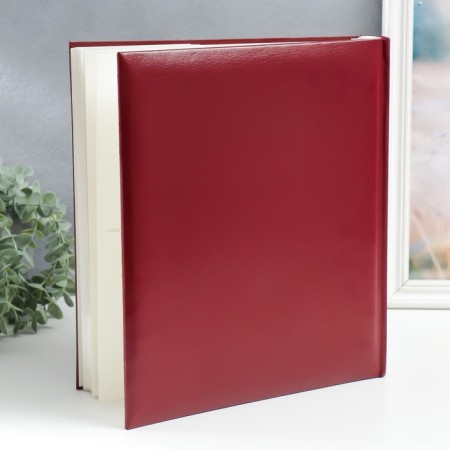 Photo album for 500 photos 10x15 cm Prince. The first is red-1