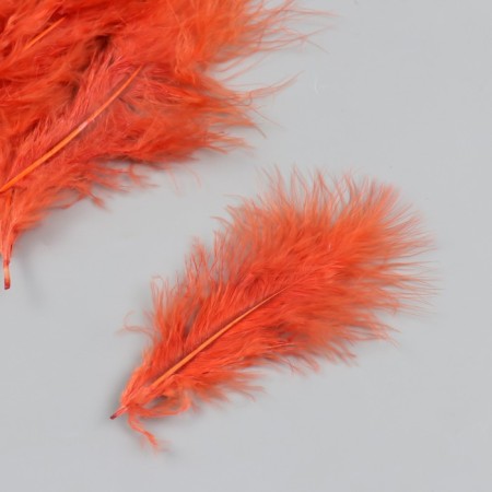 A set of decorative feathers "needlework", 20 pcs (dark orange), pen length 13-16 cm-1