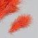 A set of decorative feathers "needlework", 20 pcs (dark orange), pen length 13-16 cm