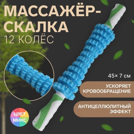 Massage "Skating", universal, 12 wheels, d = 7 × 45 cm, color mix