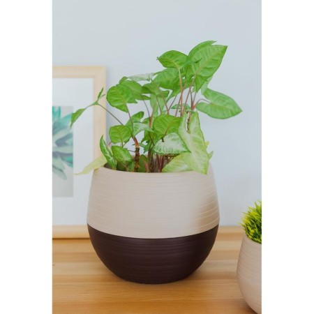 Pot for flowers with a duo pallet, 2.5 l, chocolate-coffee color with milk-6