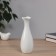 VAZA Ceramics TREAL "TIRIL" 20.5x6.5 cm, white