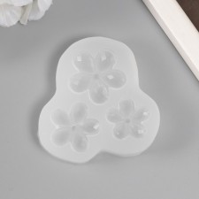 Mold Silicon 