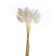 Dry -flowers "Lagurus", set of 30 pcs., White color