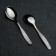 Dessert spoon "Uralochka", h = 16 cm, thickness 2 mm, silver color