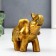 Souvenir Polystone "Elephant in the Golden Popone with Patterns" Lacu 10x5x12 cm