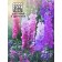 Seeds of Flowers Dolphinium "Excalibur Rose Viz Bi", F1, 10 pcs.