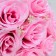 Bouquet-fool "Freshness", 7 pcs., Roses