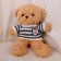 Soft toy "Bear" in a jacket, 28 cm, beige color