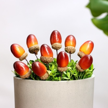 Set of plugs "Acorn" 30pcs, 3x2cm-2