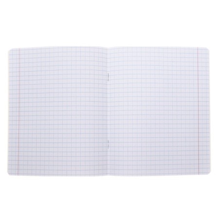 Notebook 12 sheets large cage "Funny kids", a beam coated cardboard, block 65g/m2, 5v mix-1