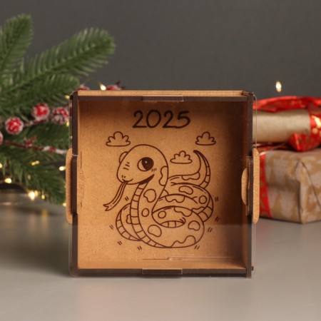 New Year's piggy bank with acrylic "Snake. Cute" 12x12x4 cm