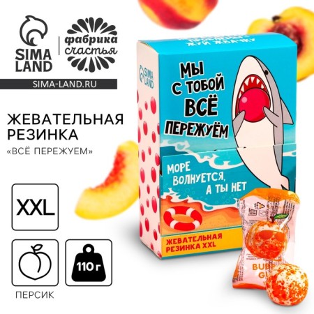 Chewing gum “We’re all overlook”, taste: Persian, 110 g.
