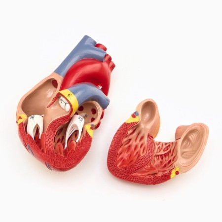 Matcage "Heart" isolate 13*8cm-3