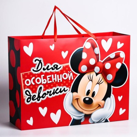 Gift package "For a special girl" 61x46x20 cm, packaging, Minnie Mouse-1