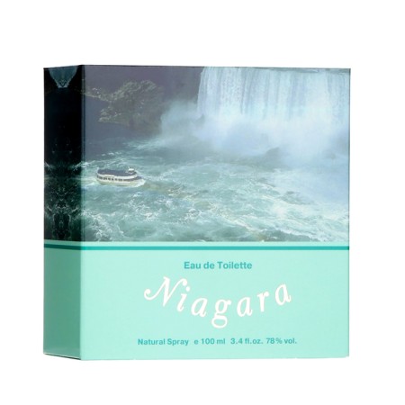 Women's toilet water Genty "Niagara", 100 ml-3