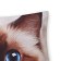 Decorative Ethel Pillow "Burmese cat" 40x40 cm, Gabardin, 100% p/e