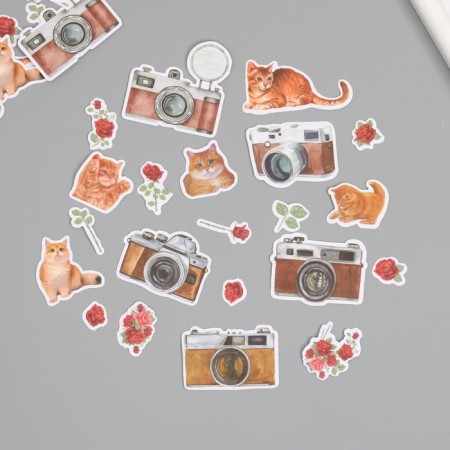 Stickers for creativity "Cats, red roses and photos" 3.5x5 cm set 40 pcs 9.4x8.4x0.5 cm