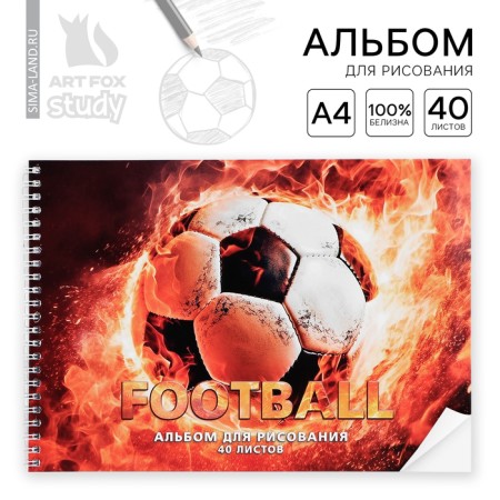 Album for drawing 40 sheets on the A4 spring “September 1: Fiery Ball”