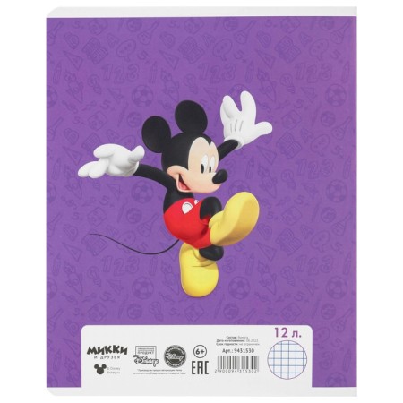 A set of notebooks 20 pieces, 12 sheets, Mickey Mouse-8