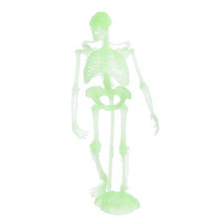 Set for experiments "Human Body"-2