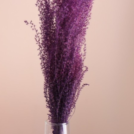 A set of dried flowers "Miscantus", a ban 3-5 pcs, length 60 (+/- 6 cm), purple-1
