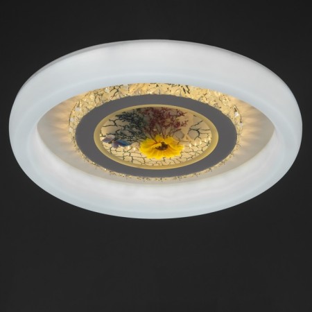 Chase with PDD "Lemonium" LED 120W 3000-6000K white 50x50x9 cm-4