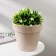 Kashpo for flowers with an insert "Porto", 3.5 l, pearl color