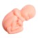 Set for experiments "Body structure", pregnant woman