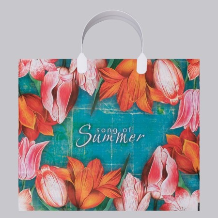 Package "Song of Summer", plastic with a plastic pen, 90 μm 38 x 35 cm-1
