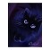 Universal diary for grades 1-11, "kitten", solid cover 7BC, glossy lamination, 40 sheets