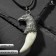 Unisex “Claw Eagle”, white color in silver on a black lace, 45 cm