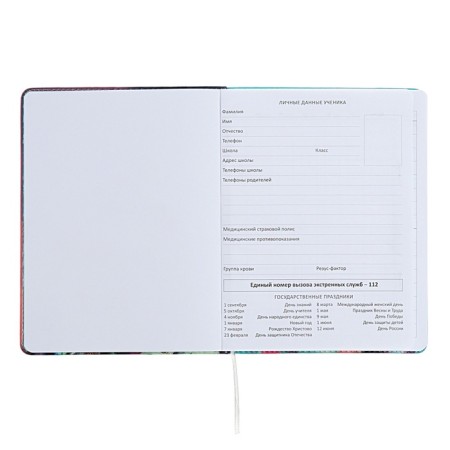 Universal diary for grade 1-11, hard cover, artificial leather, foam rubber, foil embroidery, liesse, 80 g/m2-3
