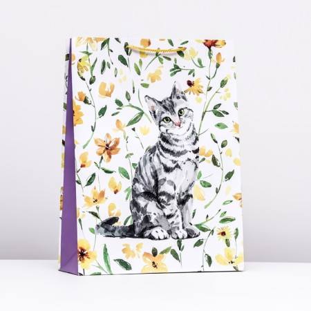 Gift package "Cat in colors", 33 x 42.5 x 10 cm