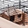Mini cell for rodents "Pijon" No. 2, equipped, 27 x 15 x 16 cm, beige