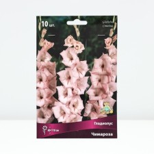 Гладиолус крупноцветковый "Чимароза",  р-р 10/12, 10 шт, Весна 2024