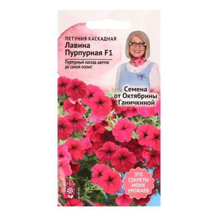 Petunia Flowers "Purple F1", 10 pcs