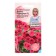 Petunia Flowers "Purple F1", 10 pcs