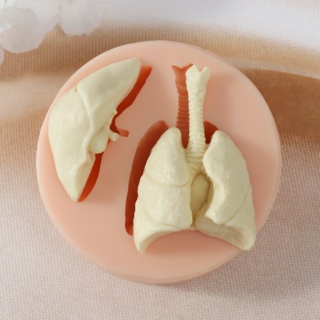 Mold Silicon "Light and Liver" 5.7x3.8x1.7 5x2.3x1.6 cm