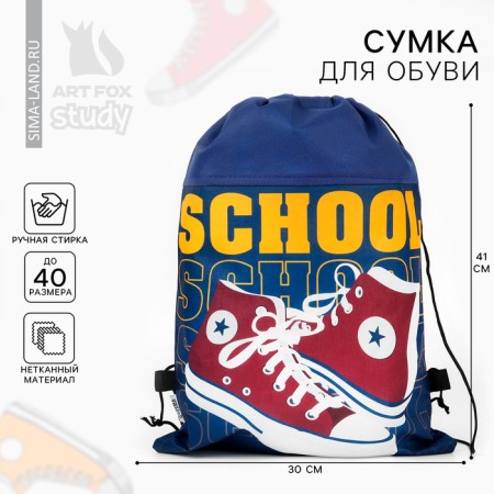 Non -cowhole bag for shoes “Keda”, size 30 x 40 cm