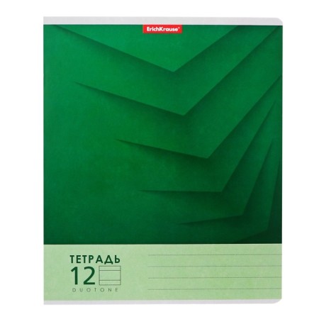 Notebook of 12 sheets in the Erichkrause "Duotone Next", the cover coated cardboard, an offset block 100% whiteness, mix-8